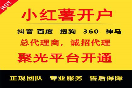 百度竞价推广运营策略：成功案例解析